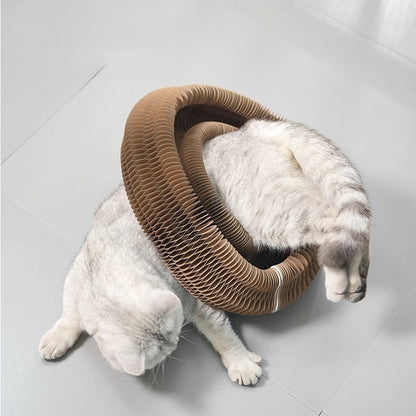 Cat Accordion Cat Toy Kitty Kurlz Cat Toy Ball Scratch Pad Magic Organ Cat Scratching Board Cat Scratcher