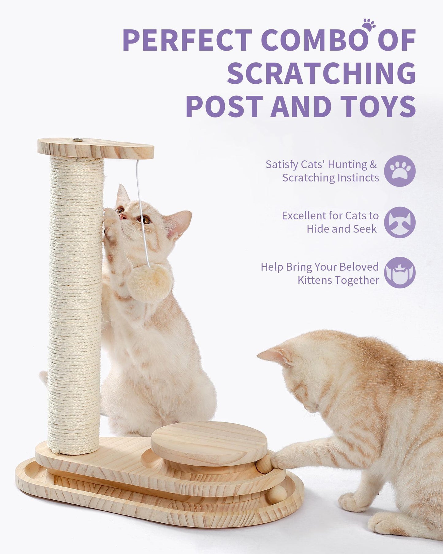 Indoor Cat Soft Scratching Board And Interactive Ball Track Toy Cat Rest And Grooming Supplies